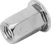 BLIND RIVET NUT FLAT HEAD OPEN END M10 HSPO-35 FZB